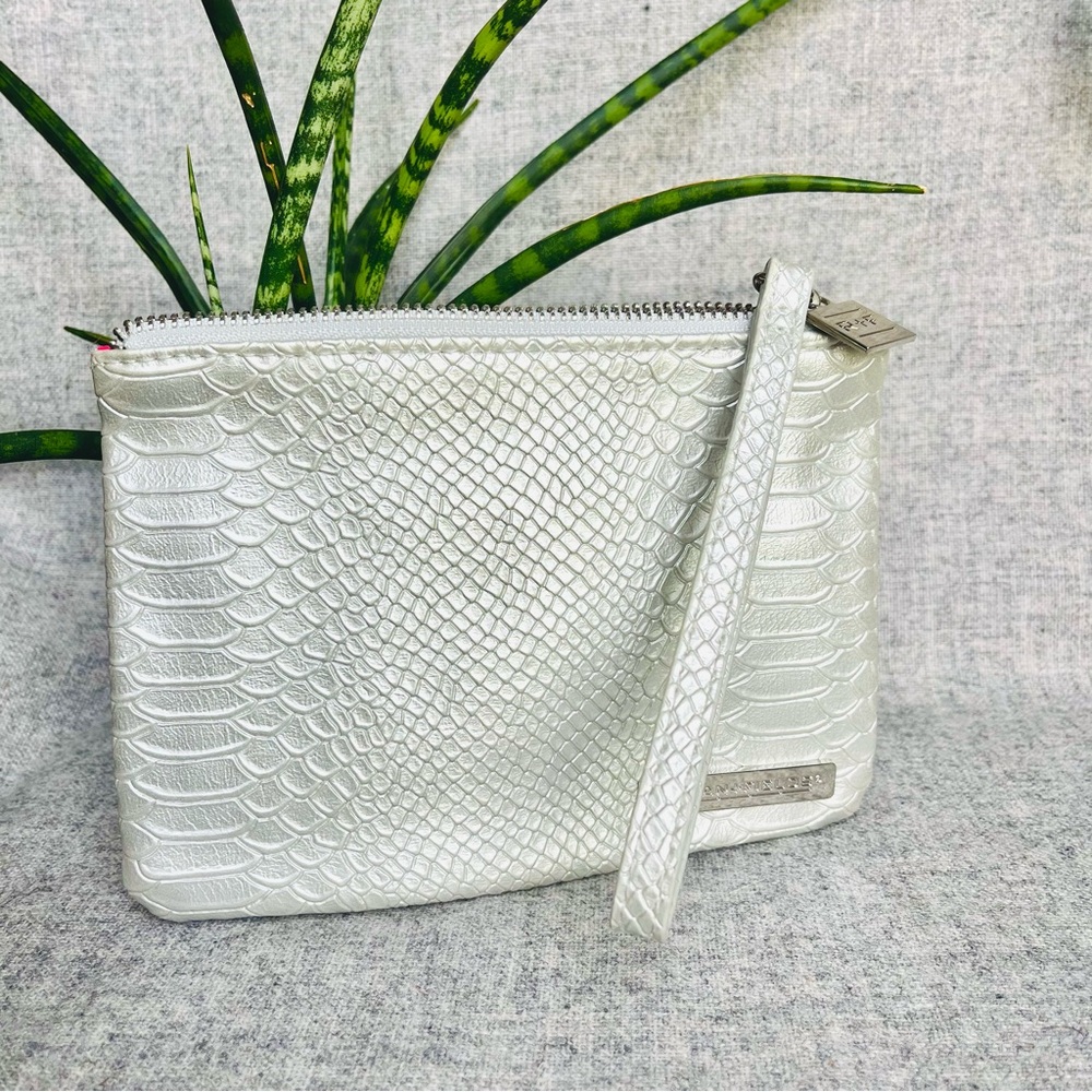 Silver faux leather snake print Rodan & Fields clutch or makeup bag.